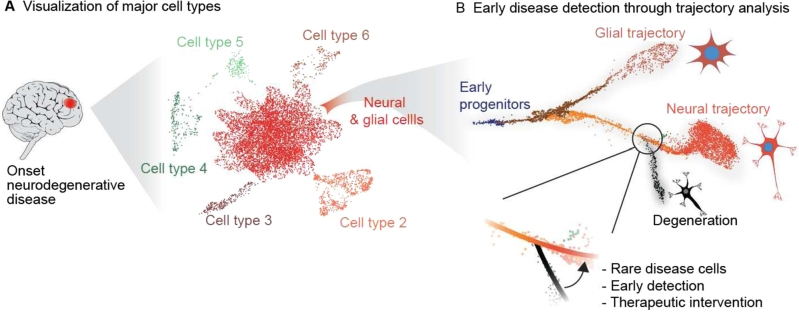 https://cdn.ncbi.nlm.nih.gov/pmc/blobs/6b5a/11006387/961f78d21922/j_medgen-2022-2156_fig_002.jpg