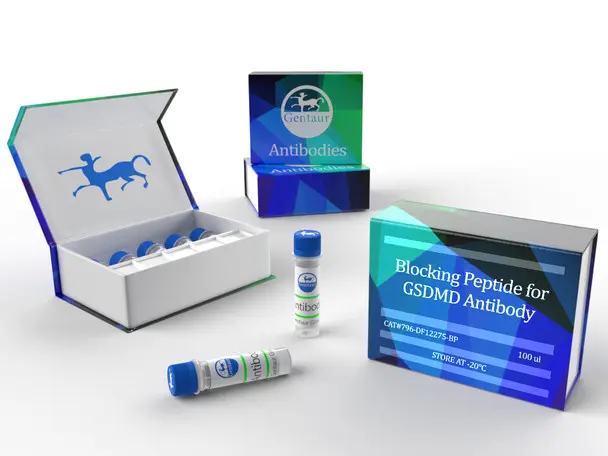 Amyloid Beta-Peptide (1-40) (human) - 5mg
