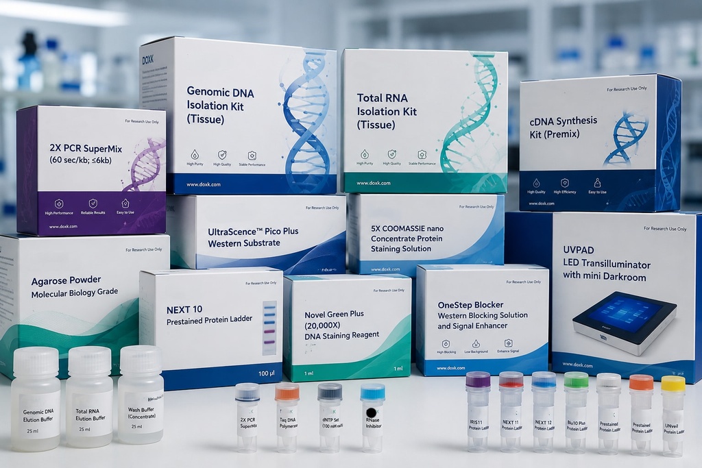10X Ponceau S Protein Staining Solution