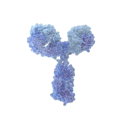 Human Betacellulin (BTC) Antibody Pair - BSA and Azide free