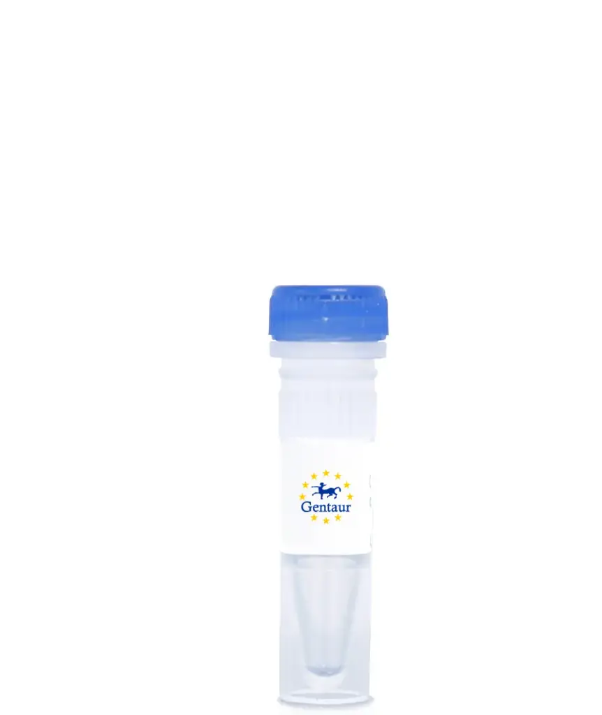 [DA-CAS-292] NMS CRISPR/Cas9 KO Plasmid (m)